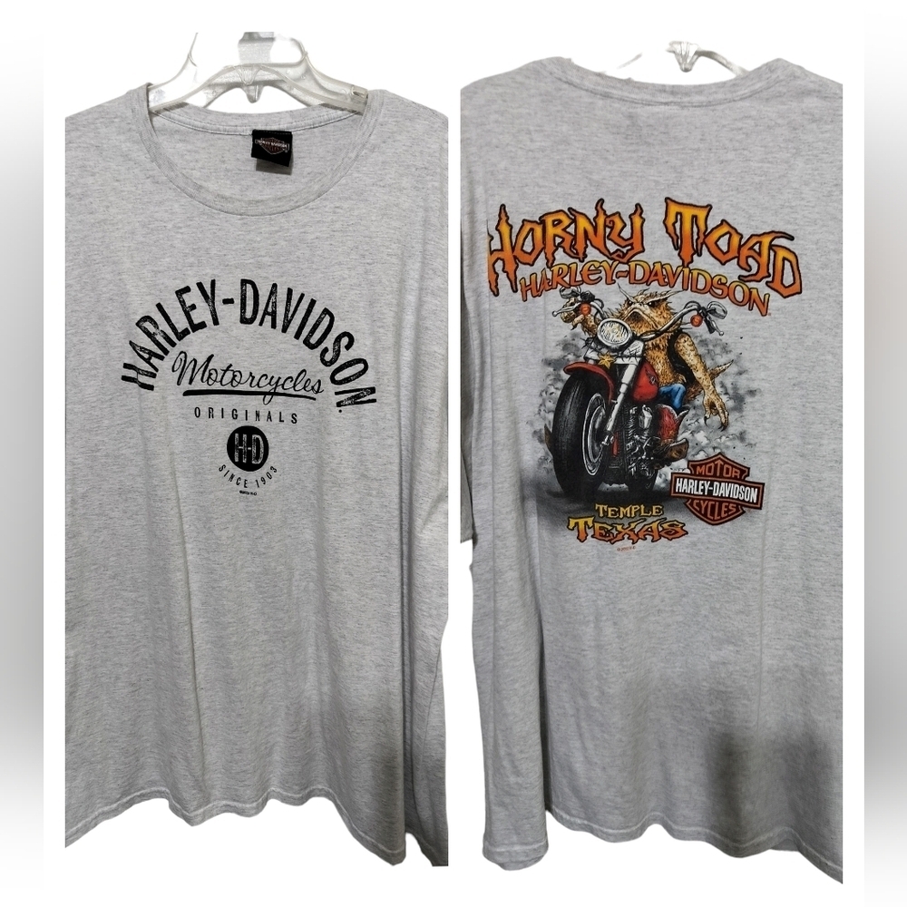 M305) Harley Davidson Grey Horny Toad Temple Texas Short Sleeve Tee Size 3XL